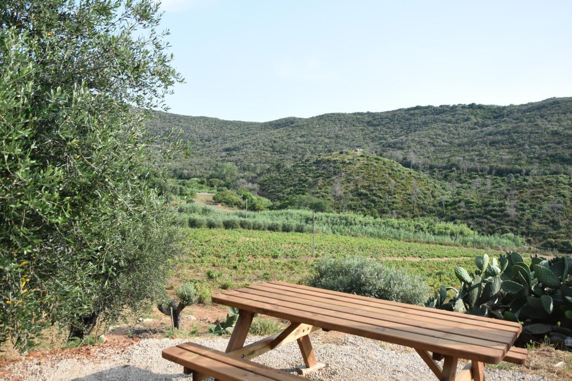 Ferienwohnung Elba Borgo Di Latrano Magazzini  Exterior foto